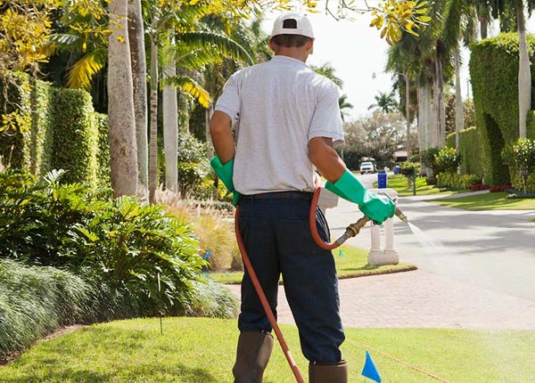 About Bonaparte IA Pest Control Pros